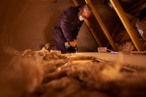 Best Garage Insulation  in Meadow Vista, CA